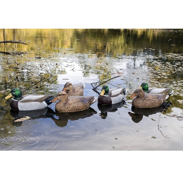 SEÑUELO DE PATO MALLARD FLAMBEAU - Imagen 9