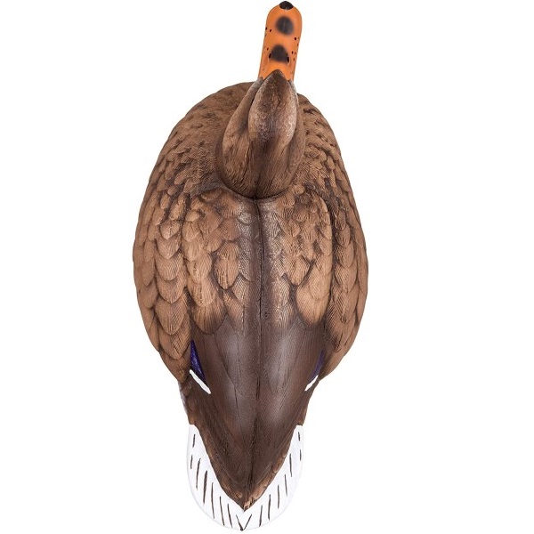 SEÑUELO DE PATO MALLARD FLAMBEAU - Imagen 8