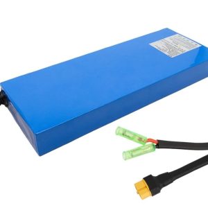 Batería 52V 17,5Ah para Dualtron Mini [Ewheel]