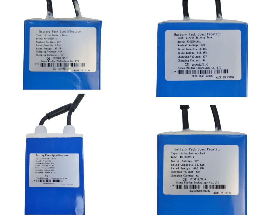 Batería Pure Electric - Imagen 2