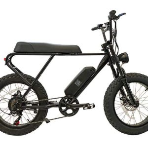Bicicleta Eléctrica Fat ebike M20X