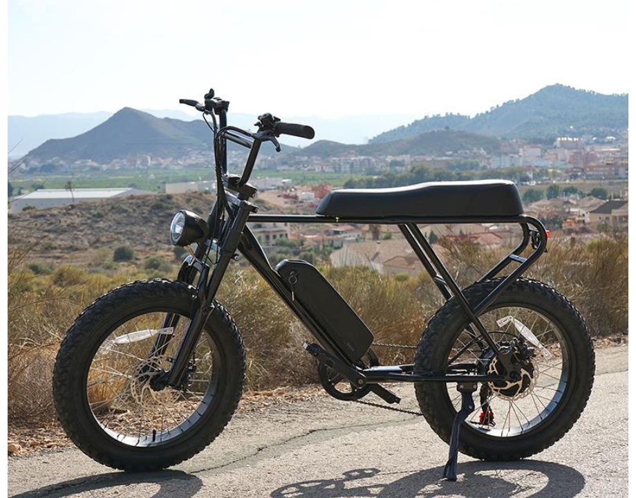 Bicicleta Eléctrica Fat ebike M20X - Imagen 4