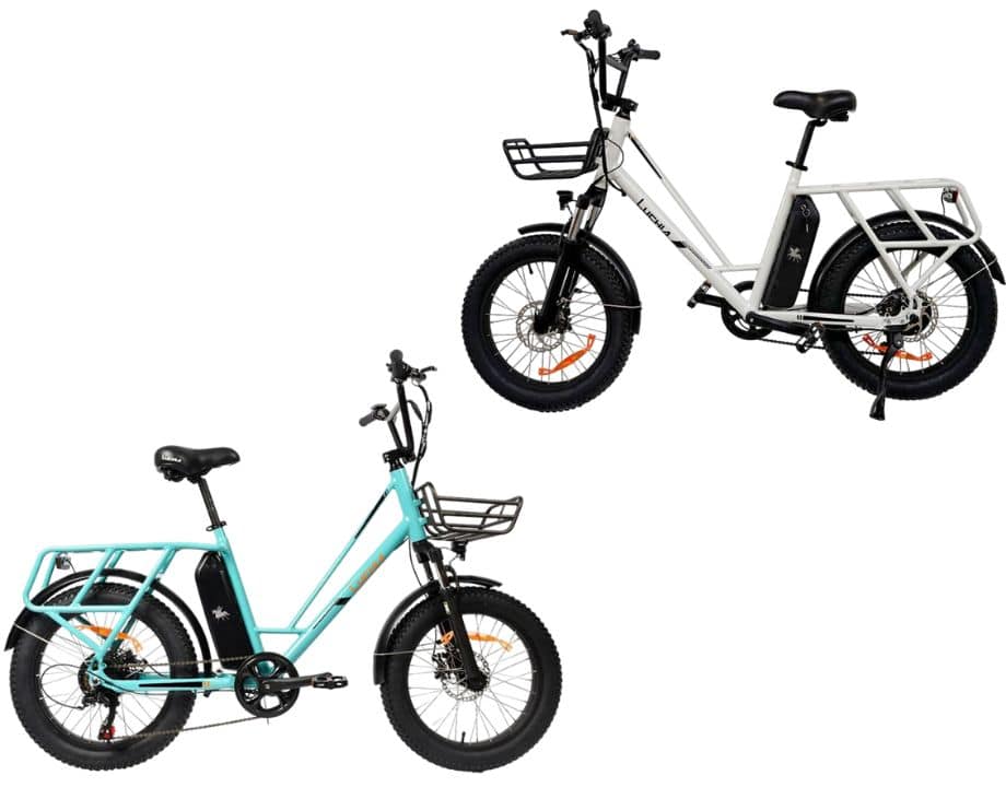 Bicicleta Eléctrica Fat ebike Luchia Tauro 250W-36V (10Ah)
