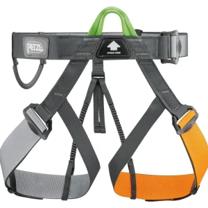 Petzl Pandion Arnés de escalada simple para centros de escalada