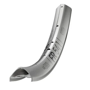 DT Swiss FR 541 Plata