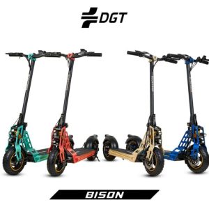 Patinete Eléctrico Ecoxtrem Bison (Homologado DGT)