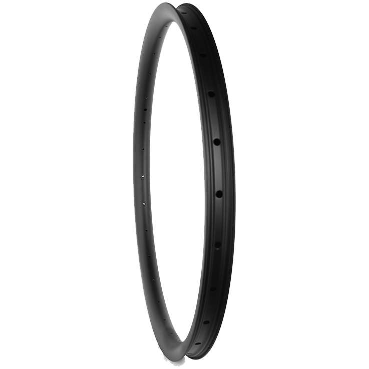 Ruedas a la carta CW Carbono Ebike DH con DT Swiss 240 Hybrid - Imagen 7